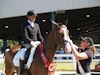 Jodie Kelly, Cindy Carpenter and Utrillo - 2013 USDF Region 3 Dressage Championships<br />Image 13 of 27