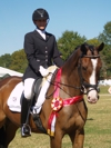 Cindy Carpenter and Utrillo - 2013 USDF Region 3 Dressage Championships - AA 3rd Level Reserve Champions<br />Image 17 of 27