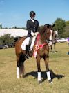 Cindy Carpenter and Utrillo - 2013 USDF Region 3 Dressage Championships - AA 3rd Level Reserve Champions<br />Image 18 of 27