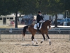 Cindy Carpenter and Utrillo - 2013 USDF Region 3 Dressage Championships<br />Image 20 of 27