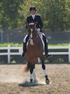 Cindy Carpenter and Utrillo - 2013 USDF Region 3 Dressage Championships<br />Image 25 of 27