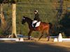 Kimmie Taylor and Wassail - 2013 USDF Region 3 Dressage Championships<br />Image 1 of 25