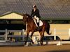 Kimmie Taylor and Wassail - 2013 USDF Region 3 Dressage Championships<br />Image 2 of 25