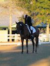 Kimmie Taylor and Wassail - 2013 USDF Region 3 Dressage Championships<br />Image 4 of 25