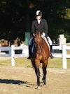 Kimmie Taylor and Wassail - 2013 USDF Region 3 Dressage Championships<br />Image 7 of 25