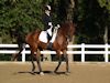 Kimmie Taylor and Wassail - 2013 USDF Region 3 Dressage Championships<br />Image 9 of 25