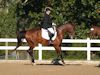 Kimmie Taylor and Wassail - 2013 USDF Region 3 Dressage Championships<br />Image 10 of 25