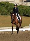 Kimmie Taylor and Wassail - 2013 USDF Region 3 Dressage Championships<br />Image 11 of 25