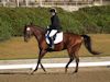 Kimmie Taylor and Wassail - 2013 USDF Region 3 Dressage Championships<br />Image 14 of 25