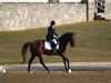 Kimmie Taylor and Wassail - 2013 USDF Region 3 Dressage Championships<br />Image 15 of 25