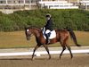 Kimmie Taylor and Wassail - 2013 USDF Region 3 Dressage Championships<br />Image 16 of 25