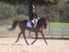 Kimmie Taylor and Wassail - 2013 USDF Region 3 Dressage Championships<br />Image 18 of 25