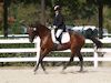 Kimmie Taylor and Wassail - 2013 USDF Region 3 Dressage Championships<br />Image 19 of 25