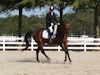 Kimmie Taylor and Wassail - 2013 USDF Region 3 Dressage Championships<br />Image 21 of 25