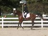 Kimmie Taylor and Wassail - 2013 USDF Region 3 Dressage Championships<br />Image 23 of 25