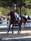 Kimmie Taylor and Wassail - 2013 USDF Region 3 Dressage Championships<br />Image 24 of 25