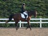 Kimmie Taylor and Wassail - 2013 USDF Region 3 Dressage Championships<br />Image 25 of 25