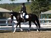 Melissa McDonald and Prism - 2013 USDF Region 3 Dressage Championships<br />Image 4 of 12