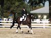 Melissa McDonald and Prism - 2013 USDF Region 3 Dressage Championships<br />Image 6 of 12