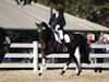 Melissa McDonald and Prism - 2013 USDF Region 3 Dressage Championships<br />Image 7 of 12