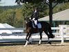 Melissa McDonald and Prism - 2013 USDF Region 3 Dressage Championships<br />Image 8 of 12