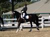 Melissa McDonald and Prism - 2013 USDF Region 3 Dressage Championships<br />Image 9 of 12