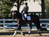 Melissa McDonald and Prism - 2013 USDF Region 3 Dressage Championships<br />Image 10 of 12