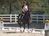 Susan von Hoene and Levi - 2013 USDF Region 3 Dressage Championships<br />Image 4 of 18