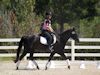 Susan von Hoene and Levi - 2013 USDF Region 3 Dressage Championships<br />Image 5 of 18