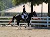 Susan von Hoene and Levi - 2013 USDF Region 3 Dressage Championships<br />Image 8 of 18