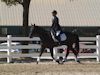 Susan von Hoene and Levi - 2013 USDF Region 3 Dressage Championships<br />Image 9 of 18