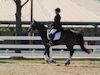 Susan von Hoene and Levi - 2013 USDF Region 3 Dressage Championships<br />Image 11 of 18