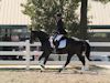 Susan von Hoene and Levi - 2013 USDF Region 3 Dressage Championships<br />Image 12 of 18