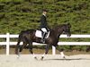 Susan von Hoene and Levi - 2013 USDF Region 3 Dressage Championships<br />Image 14 of 18