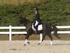 Susan von Hoene and Levi - 2013 USDF Region 3 Dressage Championships<br />Image 17 of 18