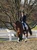 Beth Godwin and Caymus - 2013 US Dressage National Finals<br />Image 1 of 22