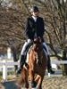 Beth Godwin and Caymus - 2013 US Dressage National Finals<br />Image 3 of 22