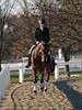 Beth Godwin and Caymus - 2013 US Dressage National Finals<br />Image 4 of 22