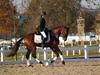 Beth Godwin and Caymus - 2013 US Dressage National Finals<br />Image 5 of 22