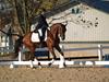 Beth Godwin and Caymus - 2013 US Dressage National Finals<br />Image 6 of 22