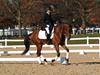 Beth Godwin and Caymus - 2013 US Dressage National Finals<br />Image 7 of 22