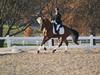 Beth Godwin and Caymus - 2013 US Dressage National Finals<br />Image 9 of 22