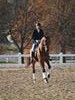 Beth Godwin and Caymus - 2013 US Dressage National Finals<br />Image 10 of 22