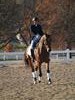 Beth Godwin and Caymus - 2013 US Dressage National Finals<br />Image 11 of 22