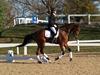 Beth Godwin and Caymus - 2013 US Dressage National Finals<br />Image 15 of 22