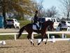 Beth Godwin and Caymus - 2013 US Dressage National Finals<br />Image 16 of 22