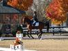 Beth Godwin and Caymus - 2013 US Dressage National Finals<br />Image 17 of 22