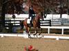 Beth Godwin and Caymus - 2013 US Dressage National Finals<br />Image 19 of 22