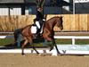 Beth Godwin and Caymus - 2013 US Dressage National Finals<br />Image 20 of 22