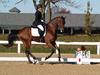 Beth Godwin and Caymus - 2013 US Dressage National Finals<br />Image 21 of 22